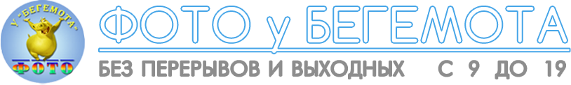Фото у Бегемота logo