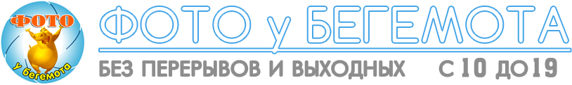 Фото у Бегемота logo