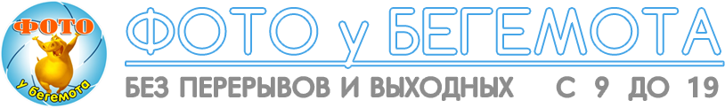 Фото у Бегемота logo